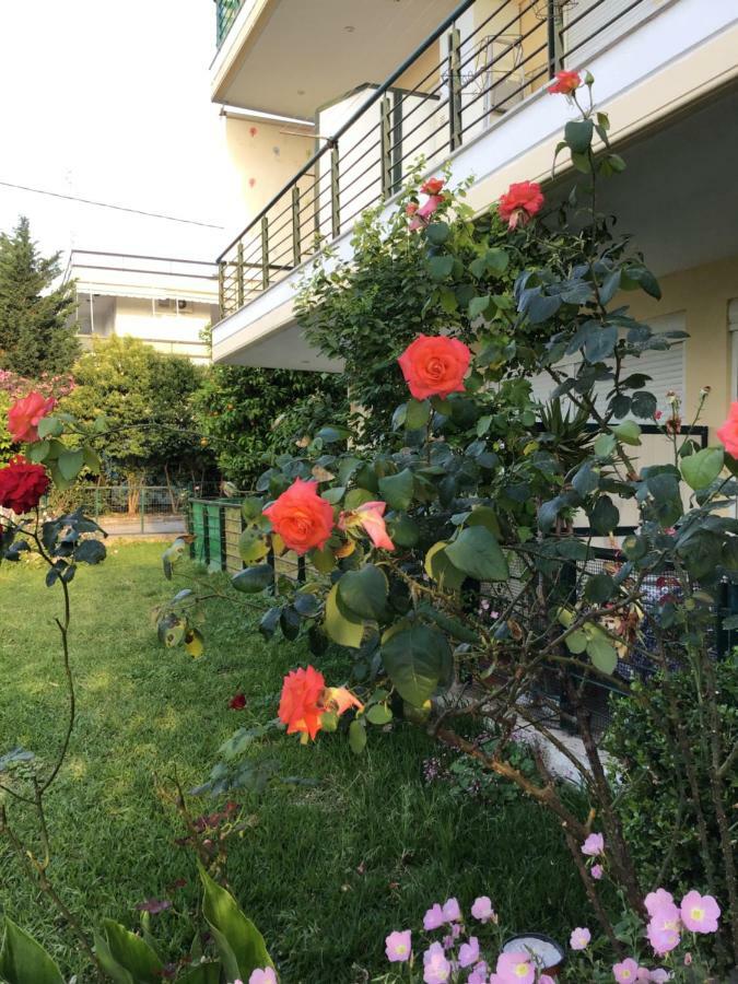 Ourania'S Apartments Kamena Vourla Luaran gambar